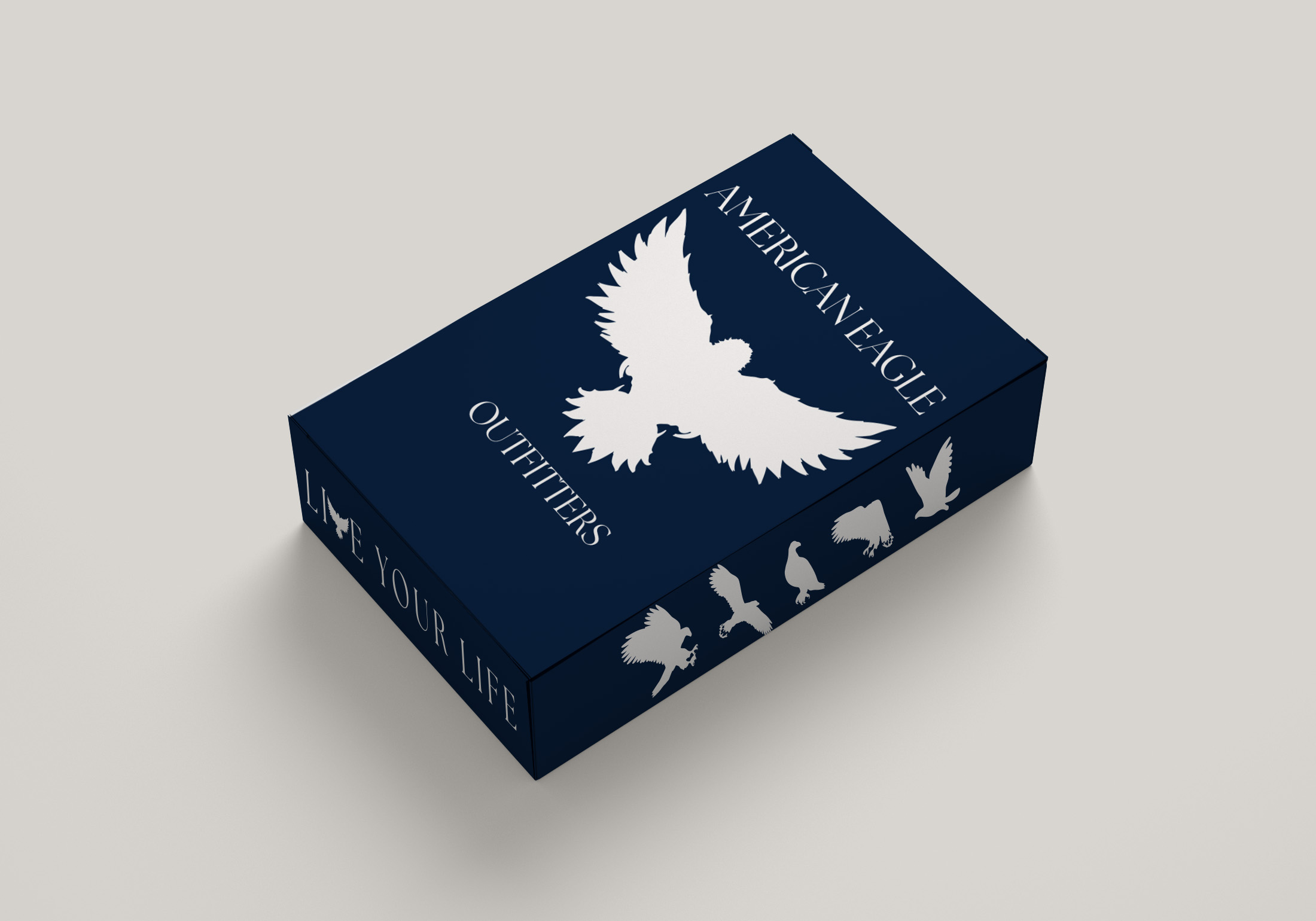 American Eagle clothing box image 1 of 2
