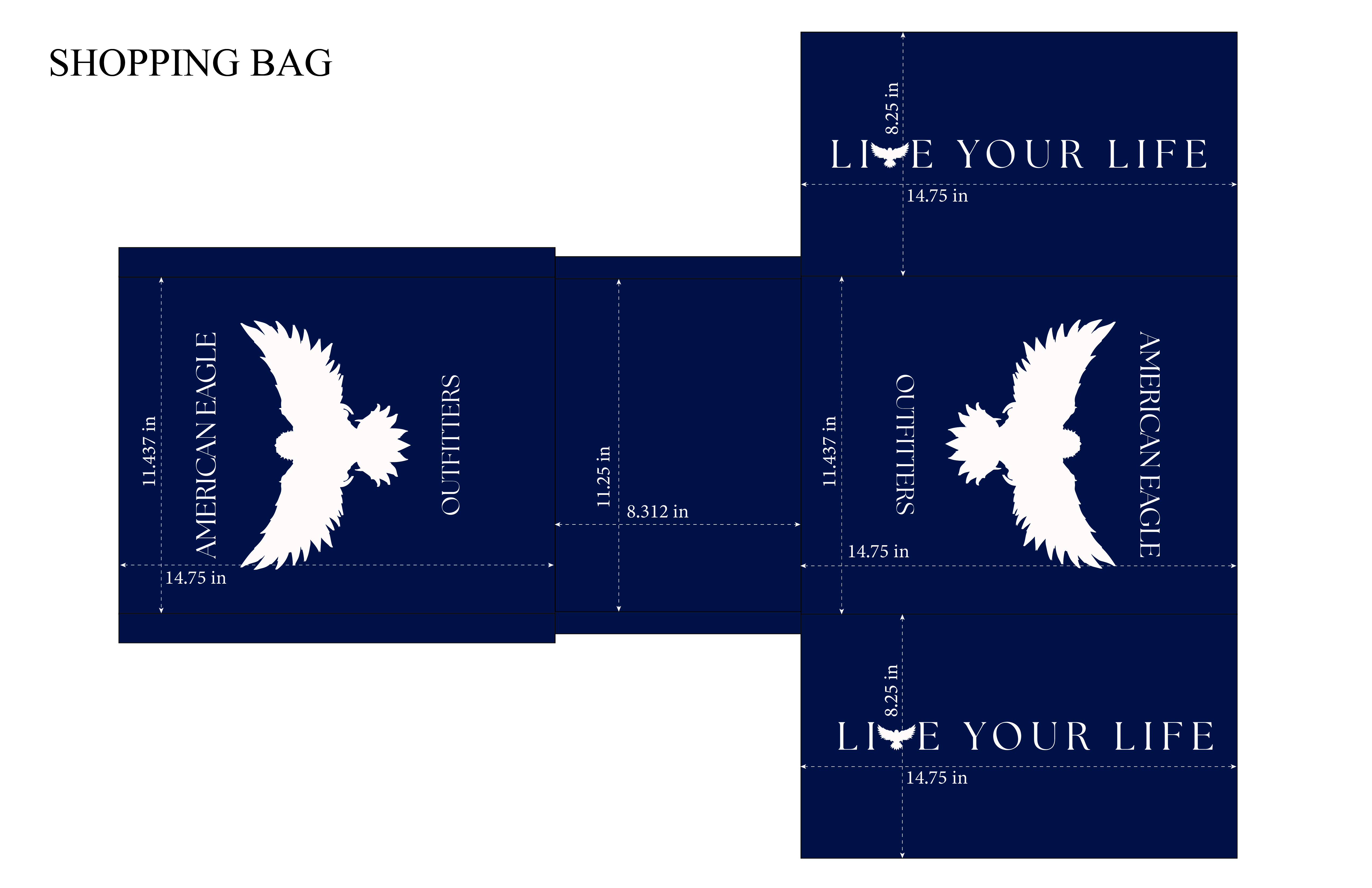 American Eagle shopping bag image 2 of 2