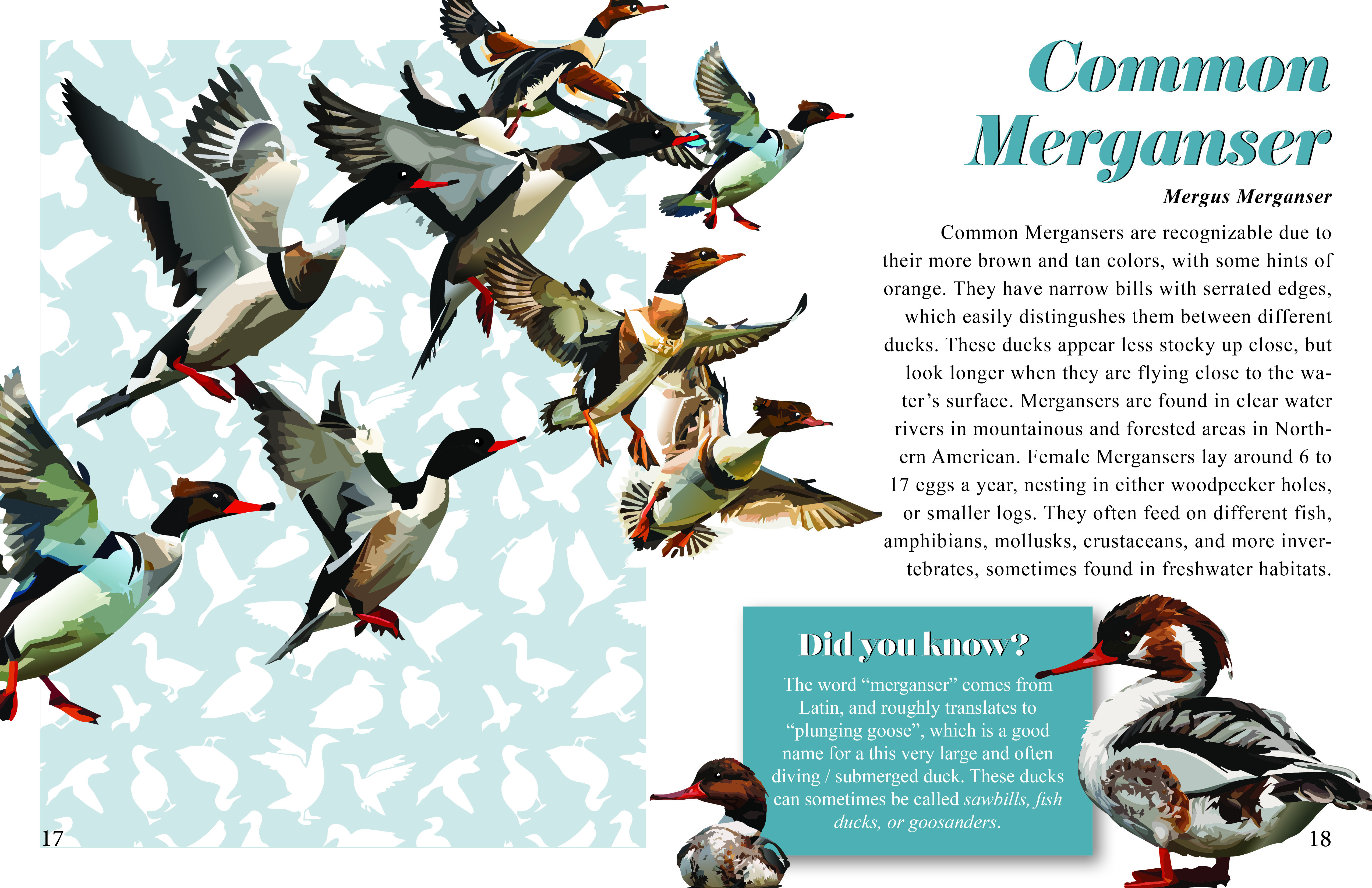 Duck-O-Pedia full spread image 2 of 2