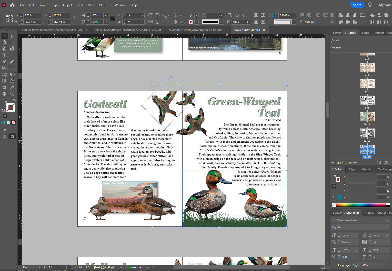 Duck-O-Pedia process image 1 of 3
