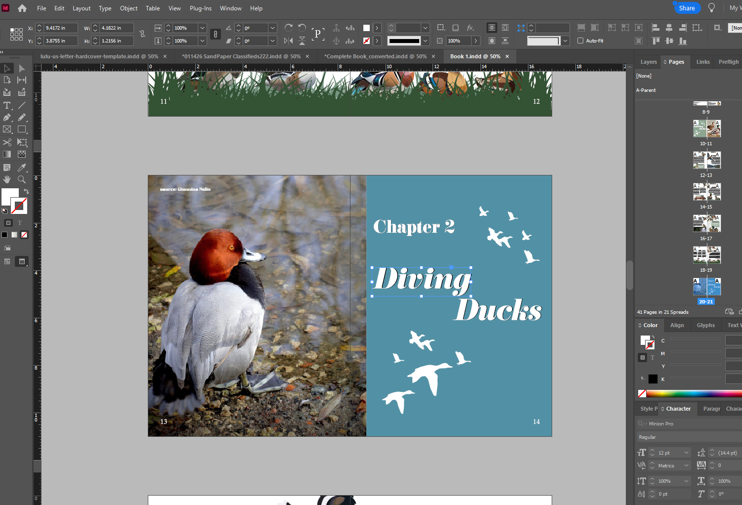 Duck-O-Pedia process image 3 of 3