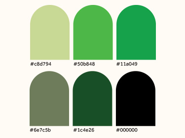 Enlightened Dietitian color palette