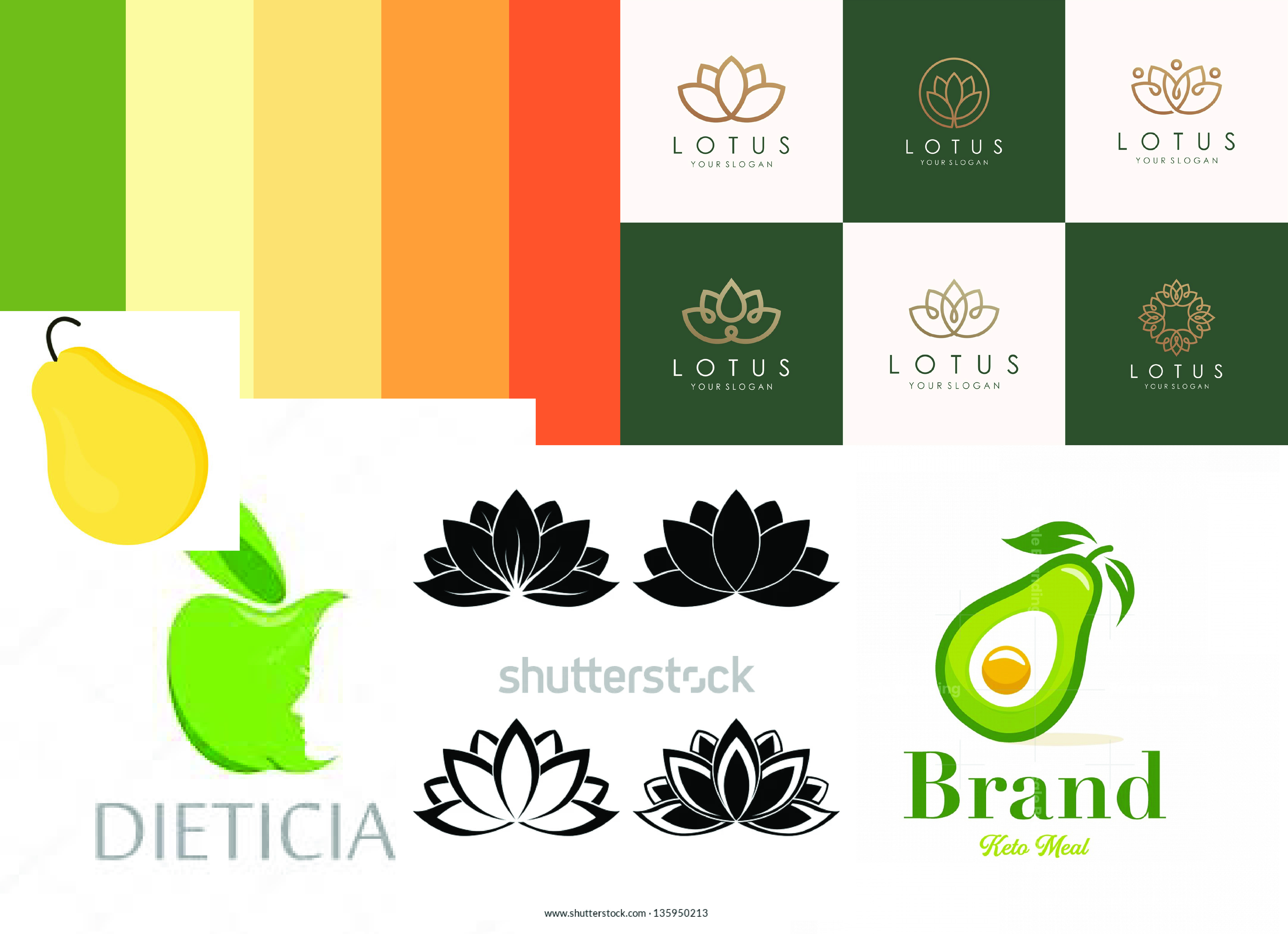 Enlightened Dietitian in-progress logo concept 1 of 4